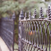 Matthew Rust Photo 20