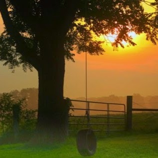 Laurie Bagwell Photo 6