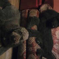 Sadie Phipps Photo 3