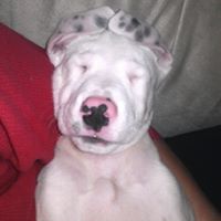 Marcus Clements Photo 10