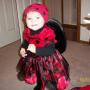 Vicki Rogers Photo 27