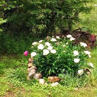Jean Hodges Photo 15
