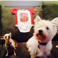 Cindy Payne Photo 35