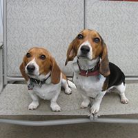 Phyllis Hays Photo 21