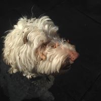 Sara Robins Photo 18