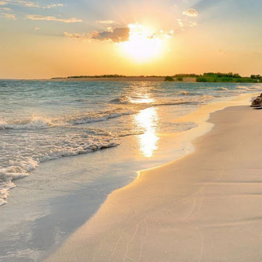 Michele Jones Photo 29 Michele Jones Photo 29