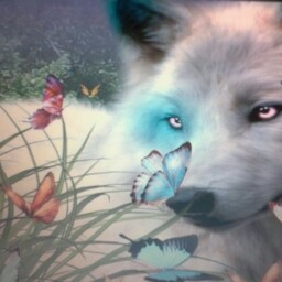 Anita Harmon Photo 1