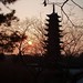 Sun Jiang Photo 12