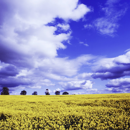 Carl Barbour Photo 7