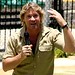 Steve Irwin Photo 22