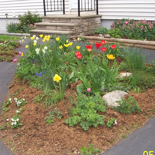 Patricia Mcbride Photo 19