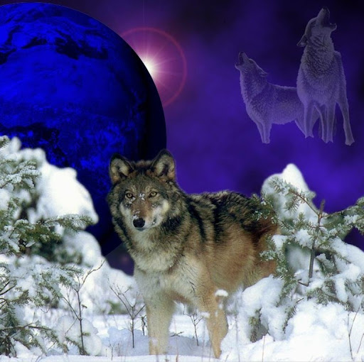 Paula Mccarty Photo 15