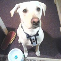 Howard Rees Photo 11