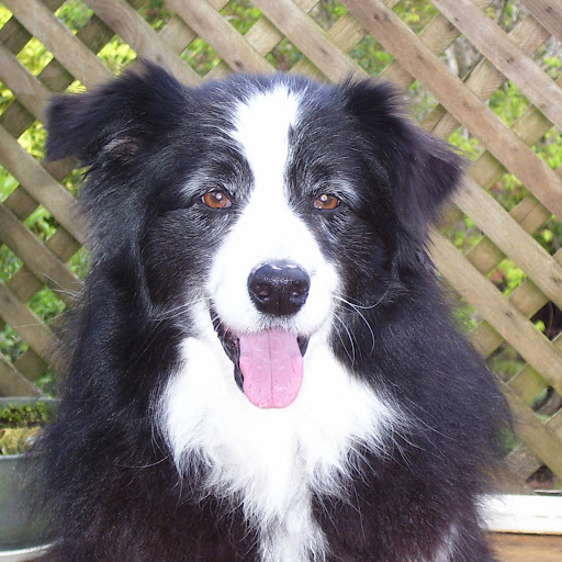 Alice Clements Photo 22 Alice Clements Photo 22