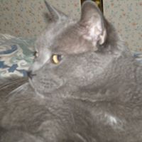 Anne Gagne Photo 24
