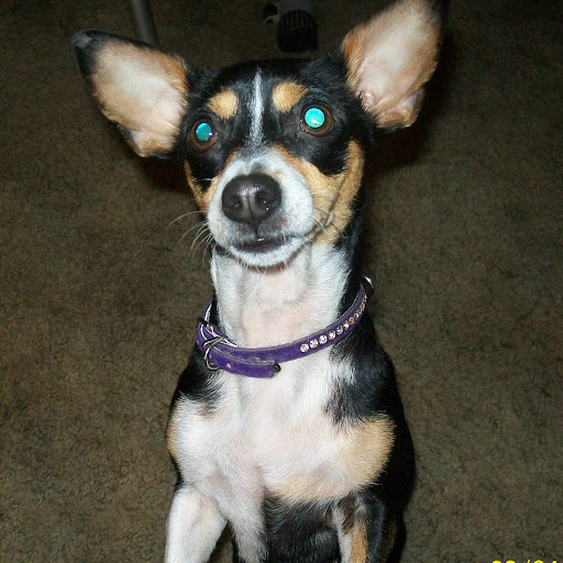Tammy Berry Photo 29