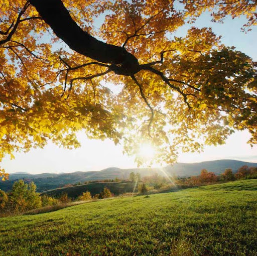 Kelly Salinas Photo 15