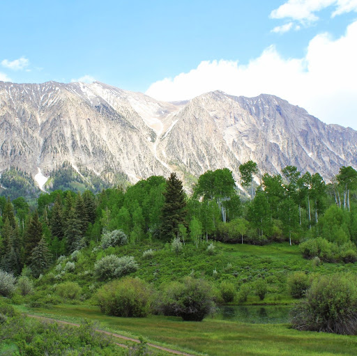 James Merrell Photo 19