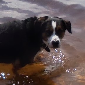 Jane Hampton Photo 16