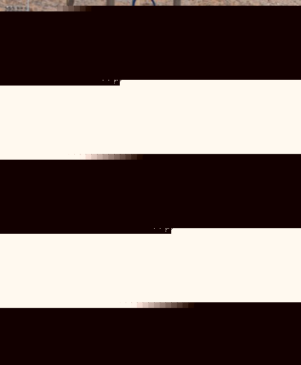 Steve Spence Photo 32 Steve Spence Photo 32