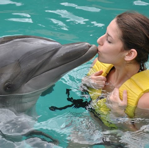 Chelsea Anderson Photo 36