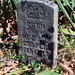 Ruth Cooper Photo 21