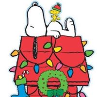 Cherie Crain Photo 8