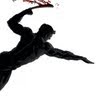 Robert Spies Photo 12