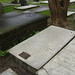 Philip Rutledge Photo 12
