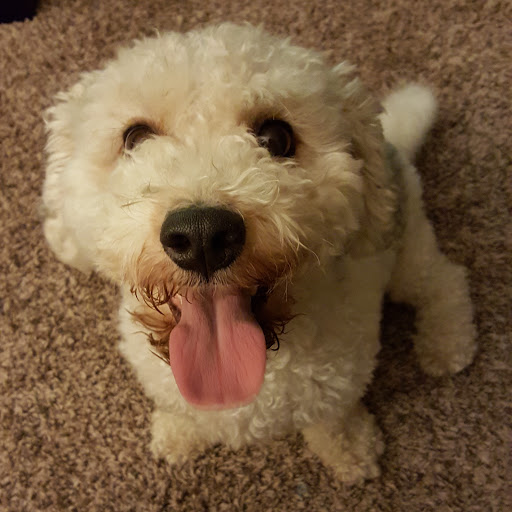 Adam Bailey Photo 35