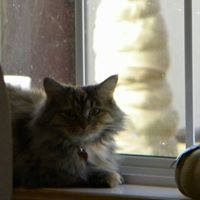 John Kelley Photo 58