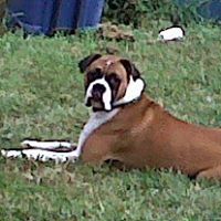 James Parr Photo 34 James Parr Photo 34