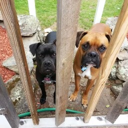 Christopher Cunningham Photo 39