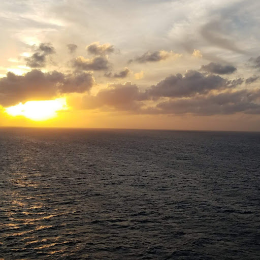 Roland Walker Photo 15