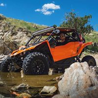 Rick Cardwell Photo 17