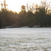 Dawn Moseley Photo 16