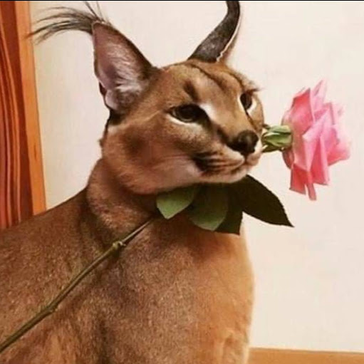 Jimmy Burns Photo 30 Jimmy Burns Photo 30