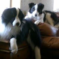 Judy Schrader Photo 20