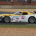 Michael Mccann Photo 20