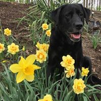 Janet Cannon Photo 22