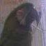 Jackie Price Photo 15