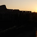 Dawn Romano Photo 21