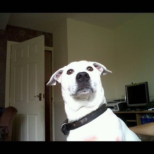 Gail Morgan Photo 25