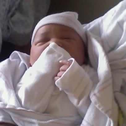 Albert Reese Photo 5