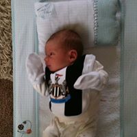 Scott Norton Photo 27