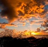 Denise Gates Photo 18