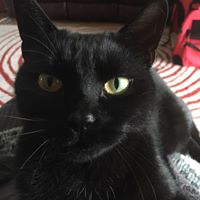 Susan Thacker Photo 22