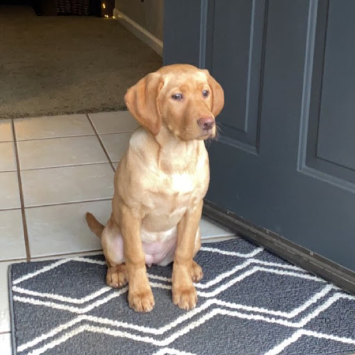 Sarah Hoban Photo 11