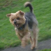 Max Caldwell Photo 12