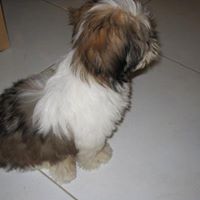 Jean Thomas Photo 16 Jean Thomas Photo 16